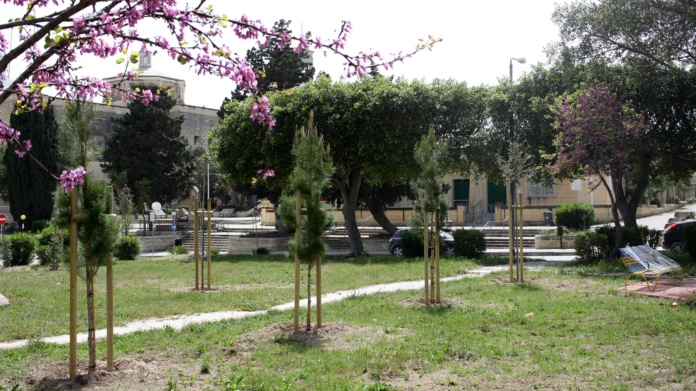 3123 new trees in Q1 2020 Infastructure Malta